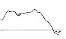 撒哈拉里的身影_600字