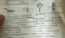 2017年常州中考命题作文范文二：围墙外边_800字