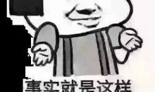 嗨，猪朋友！_250字