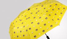 一把伞，一份情_650字