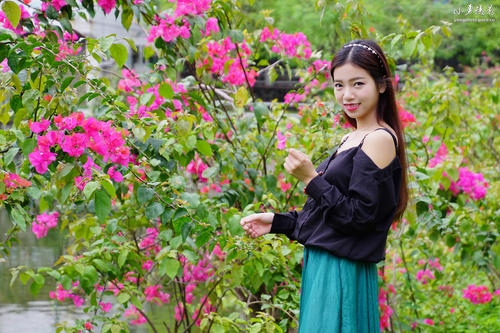 青年阳性花季_600字
