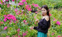 青春正值花季_600字