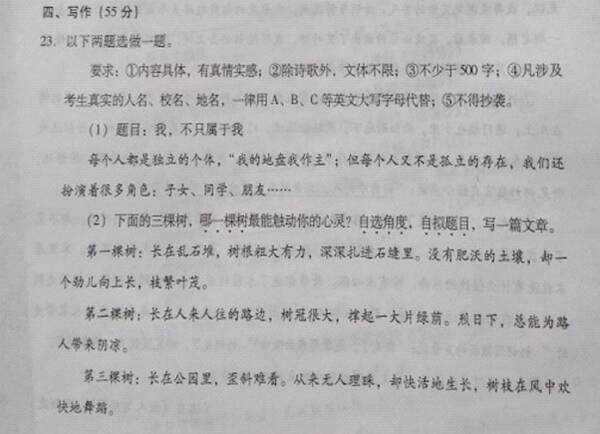 2018新疆试验术问题成分富通1：Gift_1000字