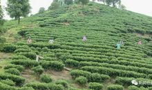 2018年贺州中考命题作文范文三：幸福就在身边_650字