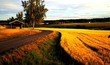 午夜的阳光_1200字