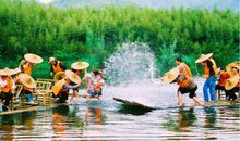 暑假竹林欢乐多_700字