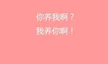 一天的美好_650字