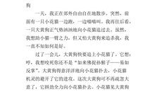 多彩的暑假_650字