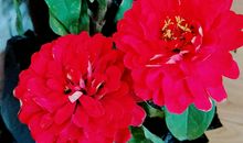 爱在细微中_400字