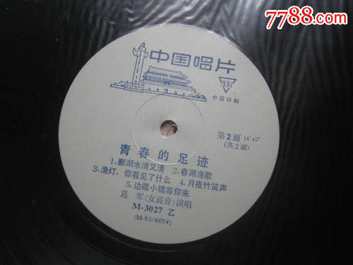 青年的脚印_500字