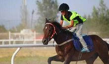 单元作文：那达慕_800字