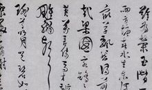 单元作文：亲临畲家族_500字