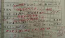 关于谎言的作文：友谊，不叫谎言_900字