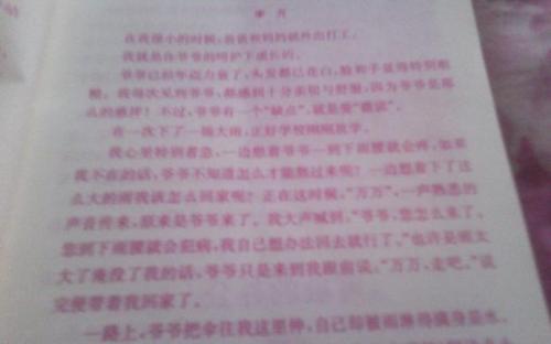 构成谎言：真正的感受谎言_1200字