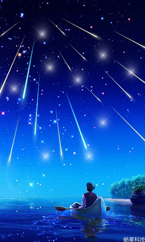 精彩，流星淋浴_800字