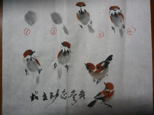 麻雀的视线_550字