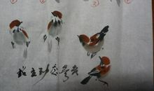 麻雀的视线_550字