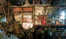 初二小说：家，是港湾_500字