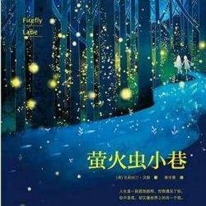 两本小说：小巷_1200字