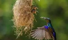 吊影分为千里雁，辞跟散作九秋蓬