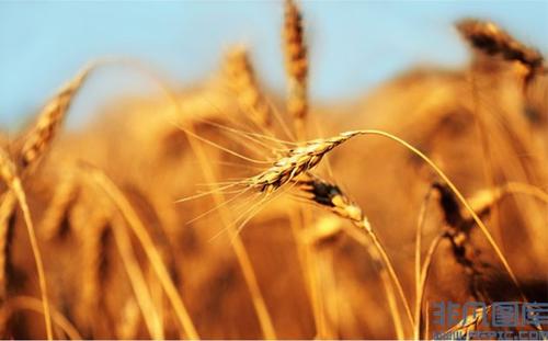 这秋天，我们要说再见_650字