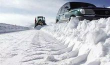 一片雪花的重量_200字