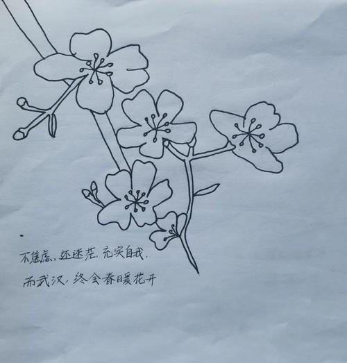 生命和灵魂_150字