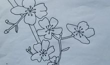 生命与心灵_150字