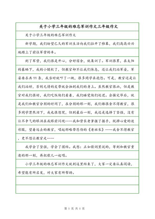 军事训练组成：令人难忘的军事训练_500字