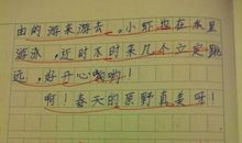 关于习惯的作文：习惯_550字