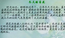 关于习惯的作文：改掉吃零食习惯_550字