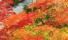 解落三秋叶，能开二月花