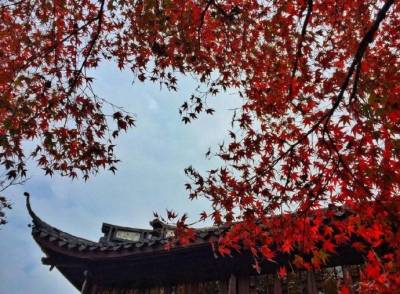 自古以来，秋天是悲伤，我说春节