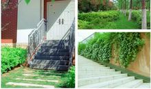 深居俯夹城，春去夏犹清