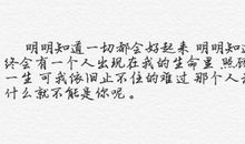 初二小说：美好星星_500字