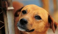 难忘那目光_800字