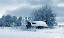 黄河捧土尚可塞，北风雨雪恨难裁