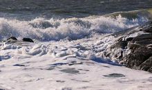 秋风萧瑟，洪波涌起