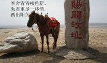 渭城朝雨浥轻尘，客舍青青柳色新