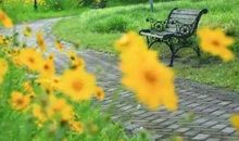 [九月遥寄]你若有心，我必用心_800字