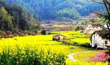 一水护田将绿绕，两山排闼送青来