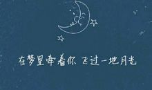 梦里的一天_200字