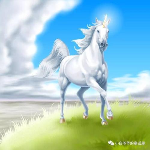 玻璃山上的公主_3000字