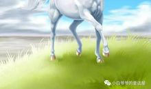 玻璃山上的公主_3000字