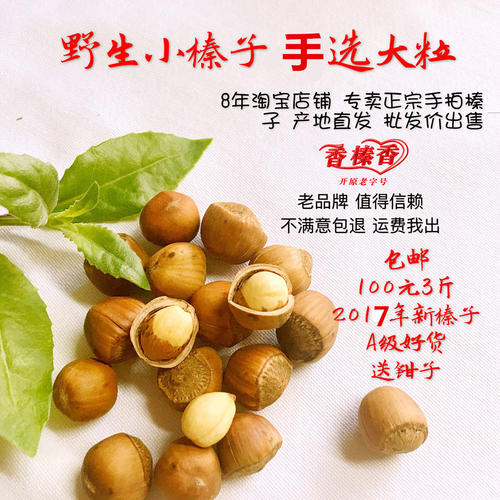 榛子子_1200字