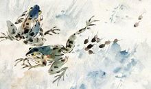 明月别枝惊鹊，清风半夜鸣蝉