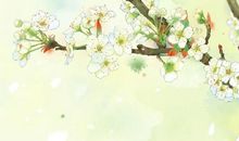 午窗睡起莺声巧，何处唤春愁？