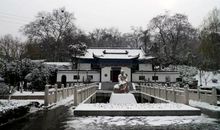 白雪却嫌春色晚，故穿庭树作飞花