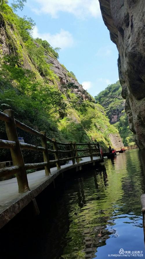 山岳鸟，塔吉斯坦