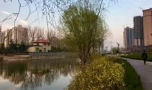 恼他香阁浓睡，撩乱有啼莺。